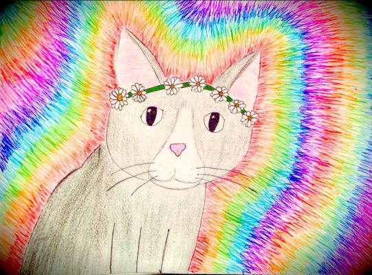 Psychedelic Kitty